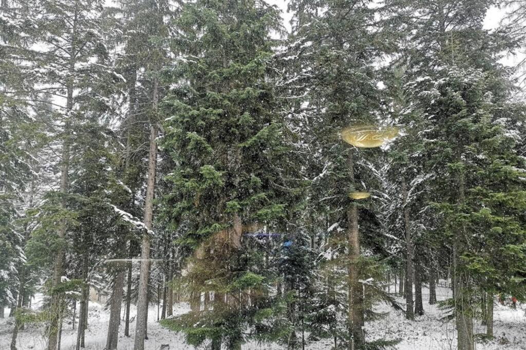 Studio 1 Iceberg Borovets Bagian luar foto