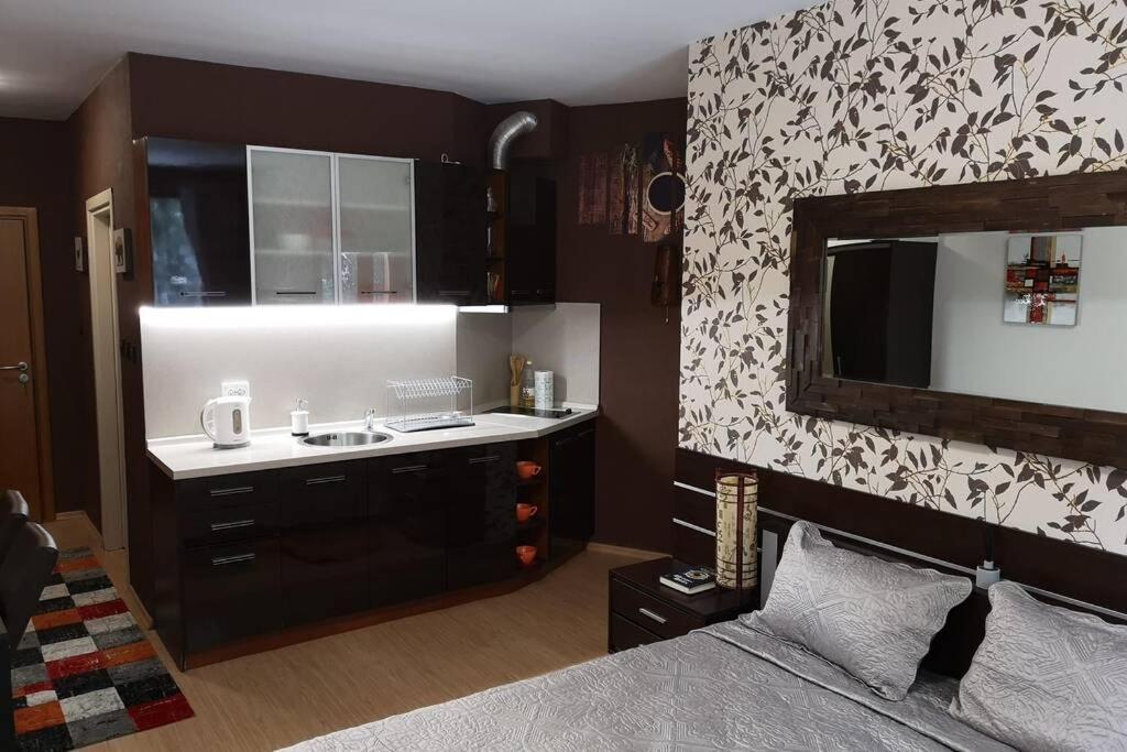 Studio 1 Iceberg Borovets Bagian luar foto